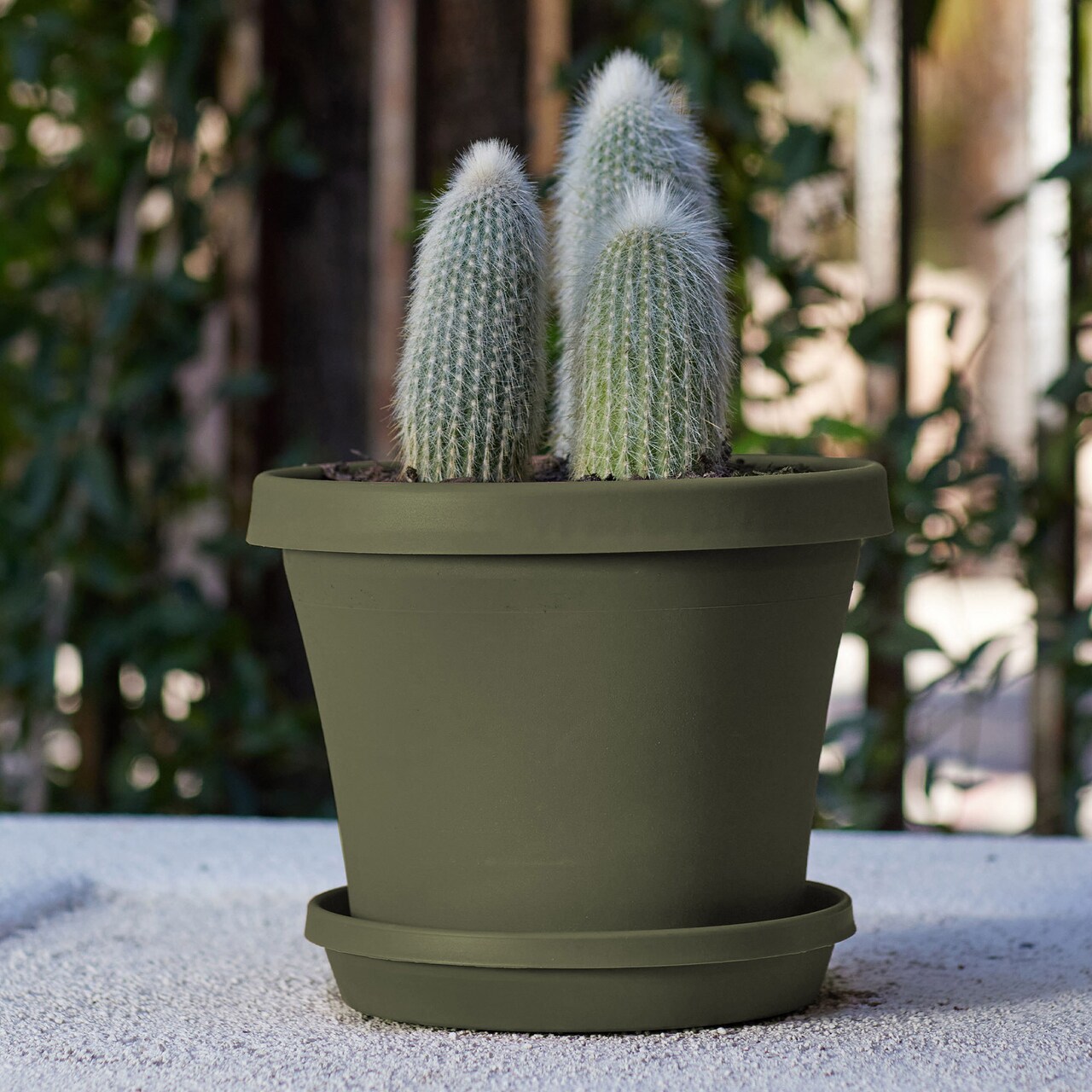 Bloem Terra Pot Planter: 12" - Living Green - Durable Resin Pot, for Indoor and Outdoor Use, Gardening, 3.5 Gallon Capacity, Saucer Sold Separately